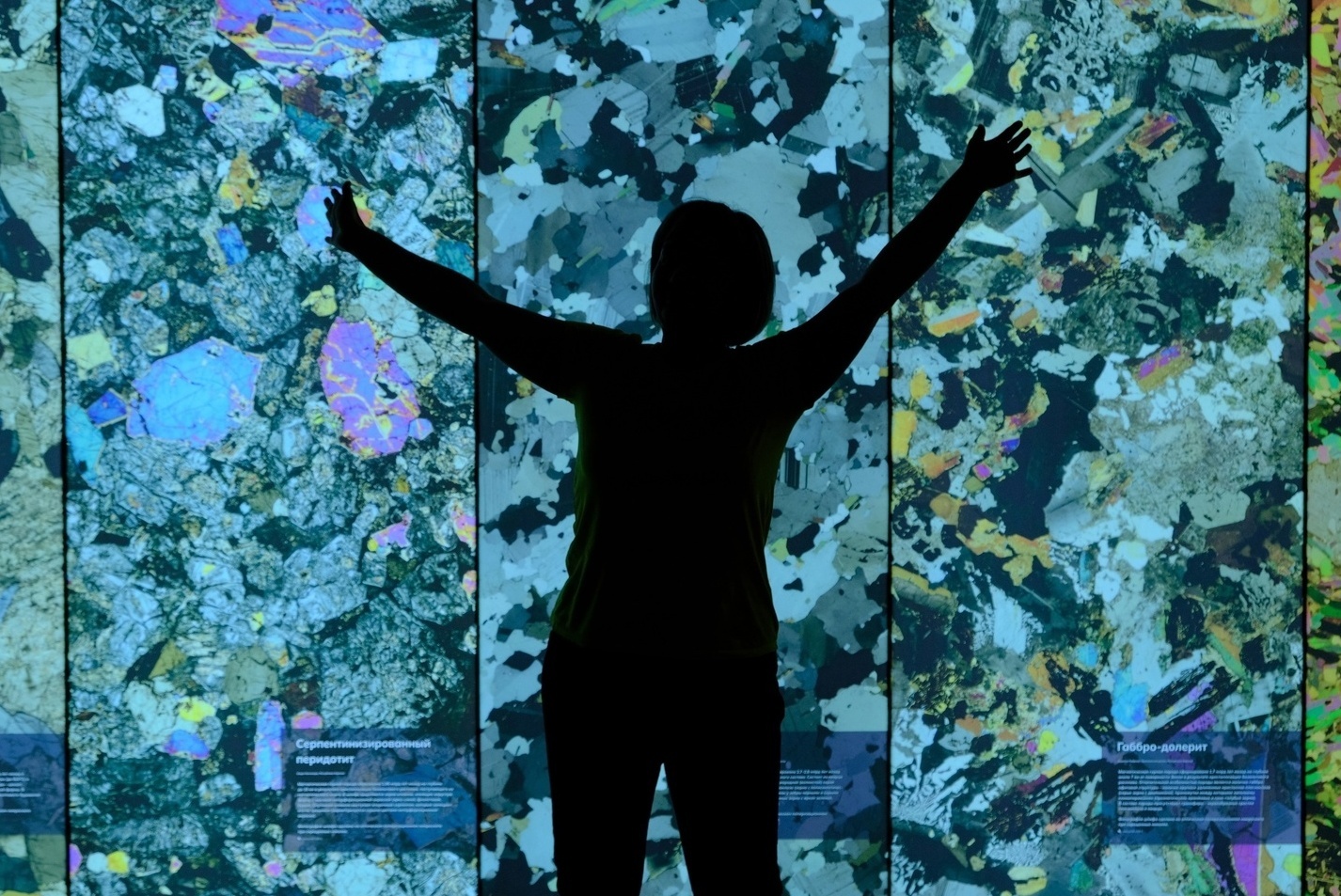 Описание изображения